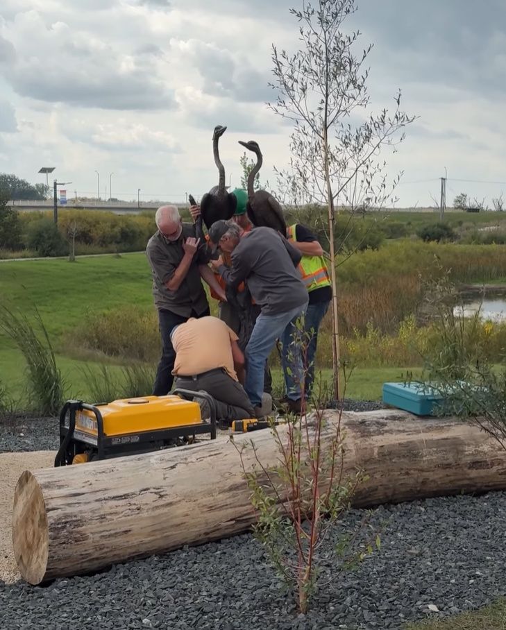 Five men moving a large bronze sculpture